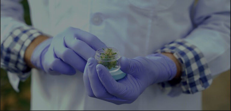 Gerador Grupel de 726kVA para Master Med Cannabis, Portugal